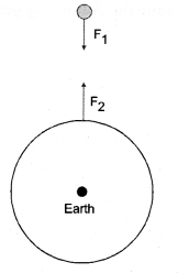 NCERT Solutions for Class 9 Science Chapter 9 Force and Laws of Motion 18